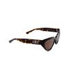 Balenciaga BB0270S Sunglasses 002 havana - product thumbnail 2/4