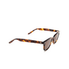 Barton Perreira CECIL Sunglasses 0MH che/esp - product thumbnail 2/4