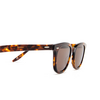 Barton Perreira CECIL Sunglasses 0MH che/esp - product thumbnail 3/4