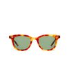 Barton Perreira CECIL Sunglasses 0ZN hav/btg - product thumbnail 1/4