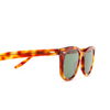 Barton Perreira CECIL Sunglasses 0ZN hav/btg - product thumbnail 3/4