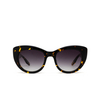 Barton Perreira COQUETTE Sunglasses 1AU hec/gol/smo - product thumbnail 1/4