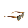 Barton Perreira DEMARCO Sunglasses 2TB umt/sil/btg - product thumbnail 2/4