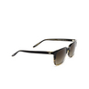 Barton Perreira JOE Sunglasses 2OB eln/oep(007) - product thumbnail 2/4