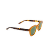 Barton Perreira TUCKER Sunglasses 0RM goh/trs/vgn - product thumbnail 2/4