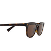 Bottega Veneta BV1253S Sunglasses 002 havana - product thumbnail 3/5