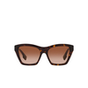 Burberry ARDEN Sunglasses 300213 dark havana - product thumbnail 1/4