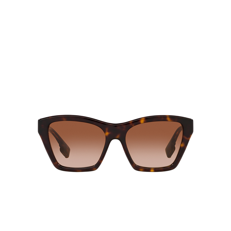 Burberry ARDEN Sunglasses 300213 dark havana - 1/4