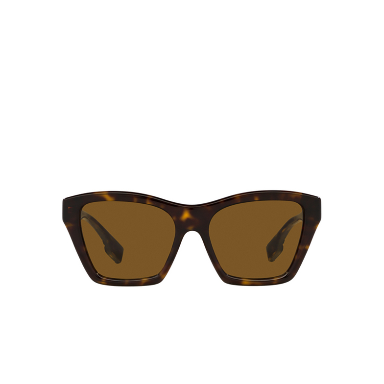 Burberry ARDEN Sunglasses 300283 dark havana - 1/4