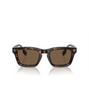 Burberry BE4403 Sunglasses 300273 dark havana - product thumbnail 1/4