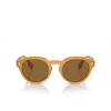 Gafas de sol Burberry BE4404 409473 brown - Miniatura del producto 1/4