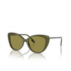 Burberry BE4407 Sunglasses 4090/2 green - product thumbnail 2/4