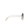 Gafas de sol Burberry DAPHNE 1109T3 light gold - Miniatura del producto 3/4