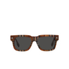 Gafas de sol Burberry HAYDEN 396687 check brown - Miniatura del producto 1/4
