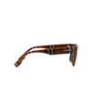 Gafas de sol Burberry HAYDEN 396687 check brown - Miniatura del producto 3/4