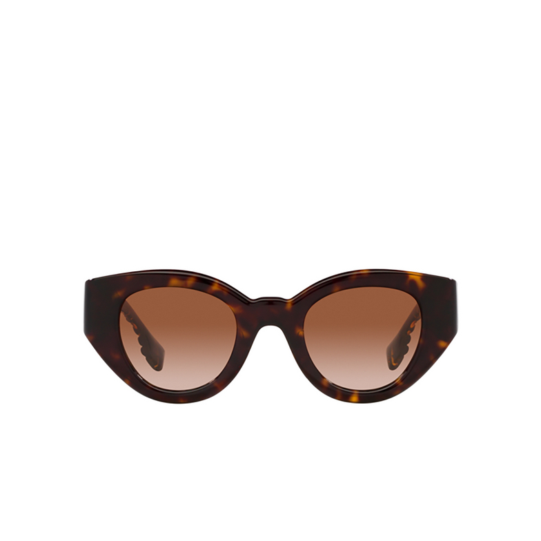 Gafas de sol Burberry Meadow 300213 dark havana - 1/4