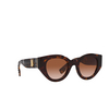 Gafas de sol Burberry Meadow 300213 dark havana - Miniatura del producto 2/4
