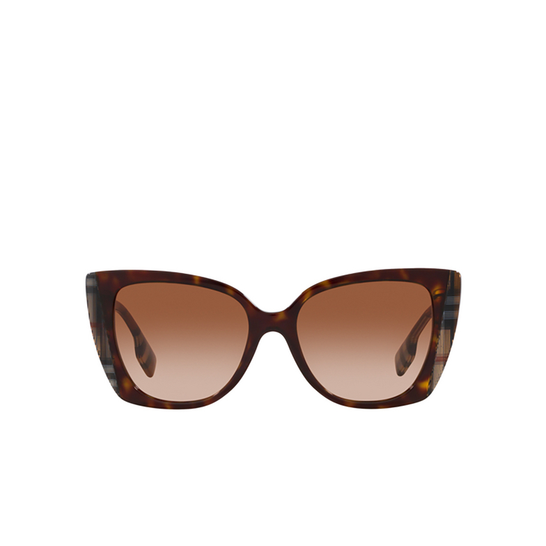 Burberry MERYL Sunglasses 405313 dark havana / check brown - 1/4