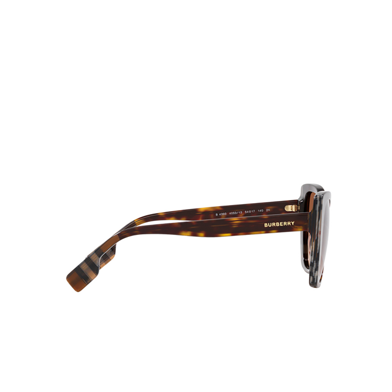 Burberry MERYL Sunglasses 405313 dark havana / check brown - 3/4