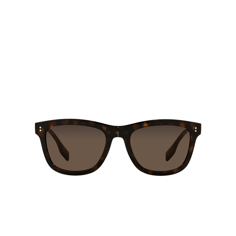 Burberry MILLER Sunglasses 30025W dark havana - 1/4