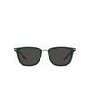 Occhiali da sole Burberry PETER 405987 green - anteprima prodotto 1/4