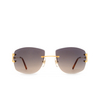 Cartier CT0008RS Sunglasses 001 gold - product thumbnail 1/4