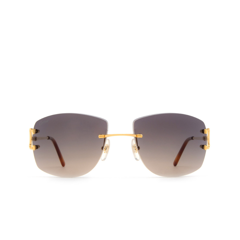 Cartier CT0008RS Sunglasses 001 gold - 1/4