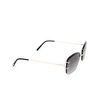 Cartier CT0010RS Sunglasses 001 silver - product thumbnail 2/4