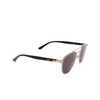 Cartier CT0012S Sunglasses 004 gold - product thumbnail 2/4
