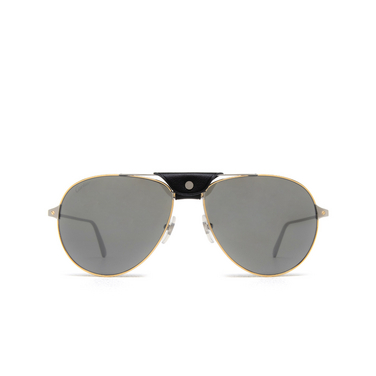 Cartier CT0038S Sunglasses 007 gold - front view
