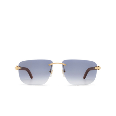 Cartier CT0040RS Sunglasses 001 gold - front view