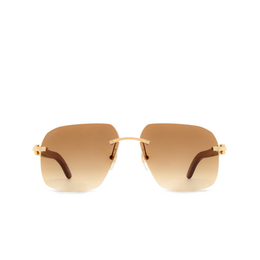 Cartier CT0041RS Sunglasses 001 gold - front view