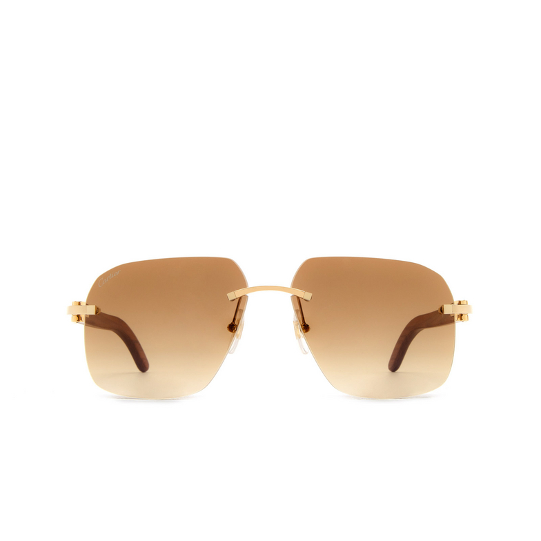Cartier CT0041RS Sunglasses 001 gold - 1/4