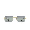 Cartier CT0271S Sunglasses 006 gold - product thumbnail 1/4