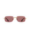 Cartier CT0271S Sunglasses 008 gold - product thumbnail 1/4