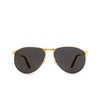Cartier CT0323S Sunglasses 003 gold - product thumbnail 1/4