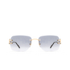 Cartier CT0330S Sunglasses 008 gold - product thumbnail 1/4