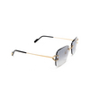 Cartier CT0330S Sunglasses 008 gold - product thumbnail 2/4