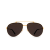 Cartier CT0354S Sunglasses 001 gold - product thumbnail 1/4