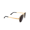 Cartier CT0354S Sunglasses 001 gold - product thumbnail 2/4