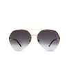 Cartier CT0355S Sunglasses 001 gold - product thumbnail 1/4