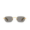Cartier CT0362S Sunglasses 003 gold - product thumbnail 1/4