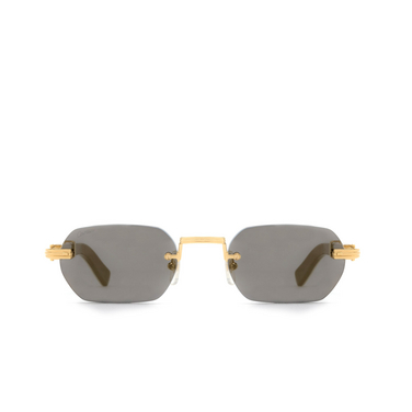 Cartier CT0362S Sunglasses 003 gold - front view