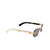Cartier CT0362S Sunglasses 003 gold - product thumbnail 2/4