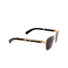 Cartier CT0363S Sunglasses 001 gold - product thumbnail 2/4