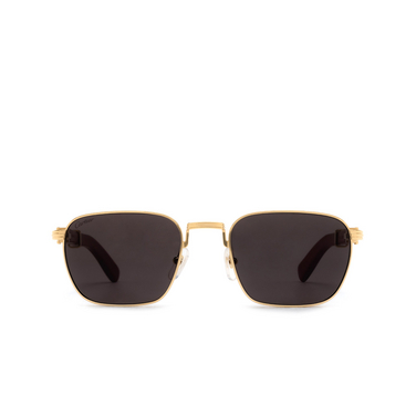Cartier CT0363S Sunglasses 004 gold - front view