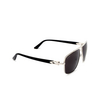 Cartier CT0365S Sunglasses 001 silver - product thumbnail 2/4