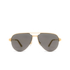 Cartier CT0386S Sunglasses 003 gold - product thumbnail 1/4