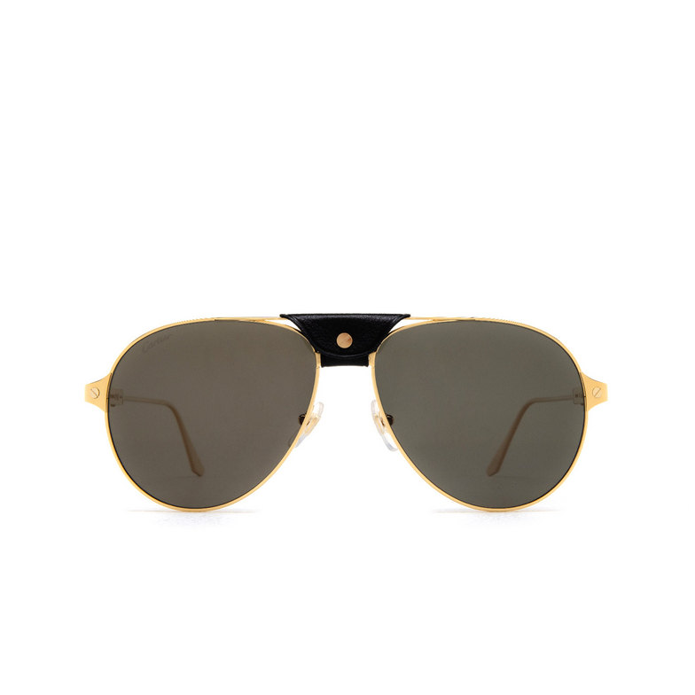 Cartier CT0387S Sunglasses 001 gold - 1/6