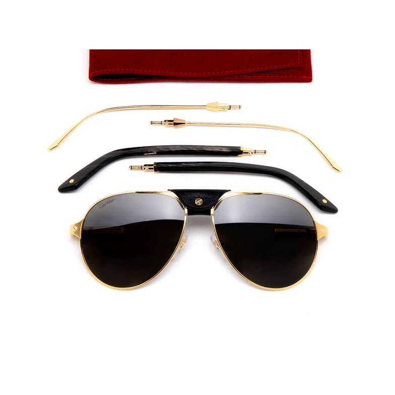 Cartier CT0387S Sunglasses 001 gold - 5/6